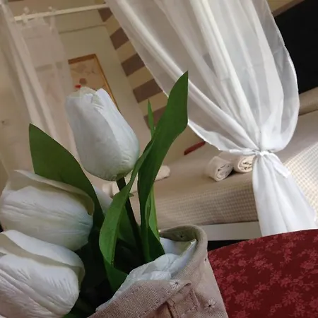 Apartamento Nido Center Iv